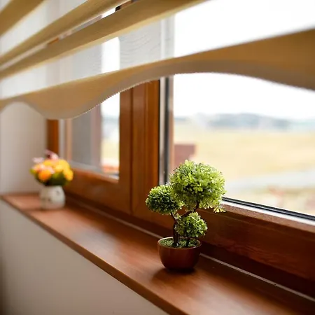 Zlatiborski Dar Apartamento