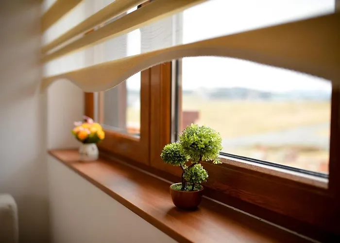 Zlatiborski Dar شقة